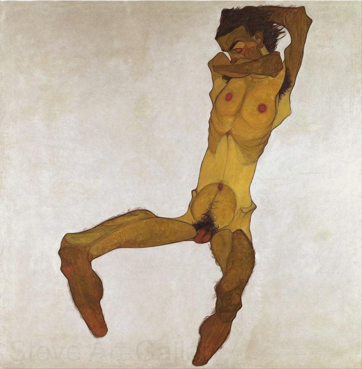 Egon Schiele Seated Male Nude (mk12) Spain oil painting art